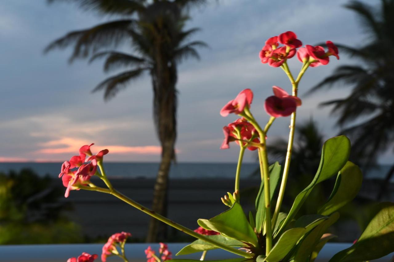 Hermoso Apartamento Con Todas Las Comodidades Acceso Directo A La Playa Morros Epic Sector La Boquilla Cumple Protocolos De Bioseguridad Cartagena Ngoại thất bức ảnh